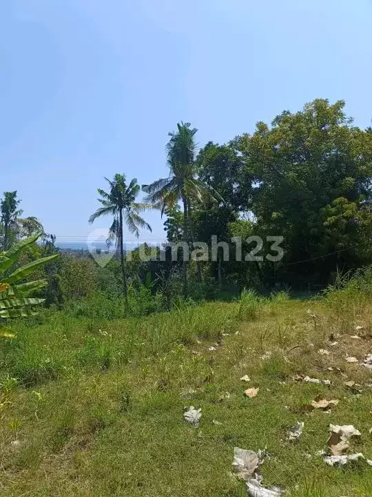 Tanah 25 Are dengan View Fantastis Dekat Pantai Lovina