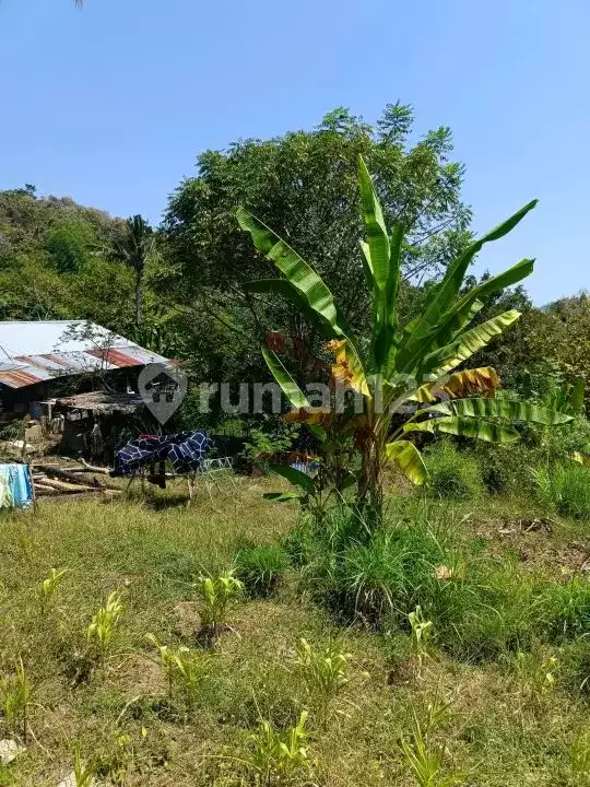 Tanah 25 Are dengan View Fantastis Dekat Pantai Lovina