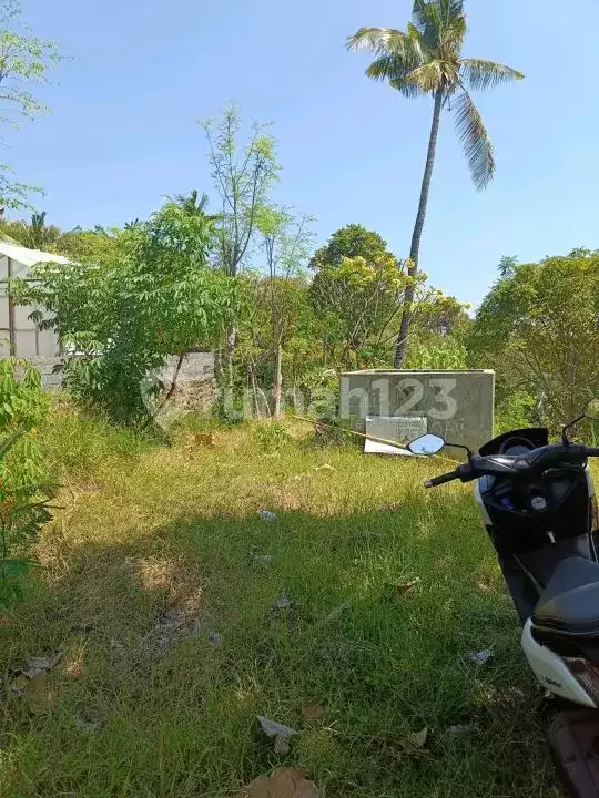 Tanah 25 Are dengan View Fantastis Dekat Pantai Lovina