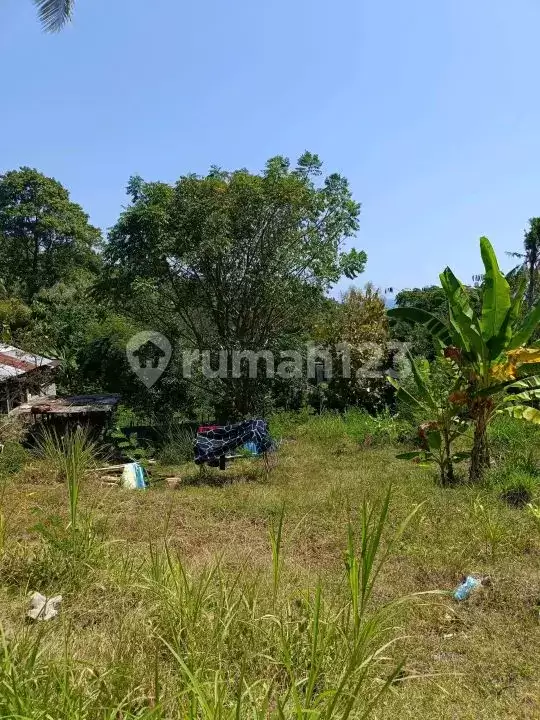 Tanah 25 Are dengan View Fantastis Dekat Pantai Lovina
