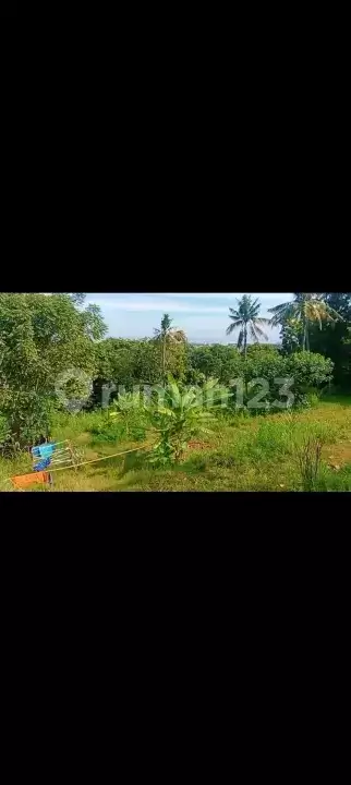 Tanah 20 Are dengan View Indah ke Laut Dekat Pantai Lovina