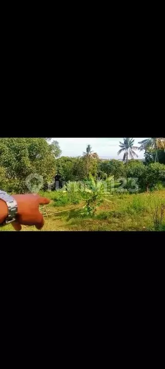 Tanah 20 Are dengan View Indah ke Laut Dekat Pantai Lovina