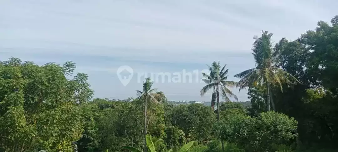 Tanah 20 Are dengan View Indah ke Laut Dekat Pantai Lovina