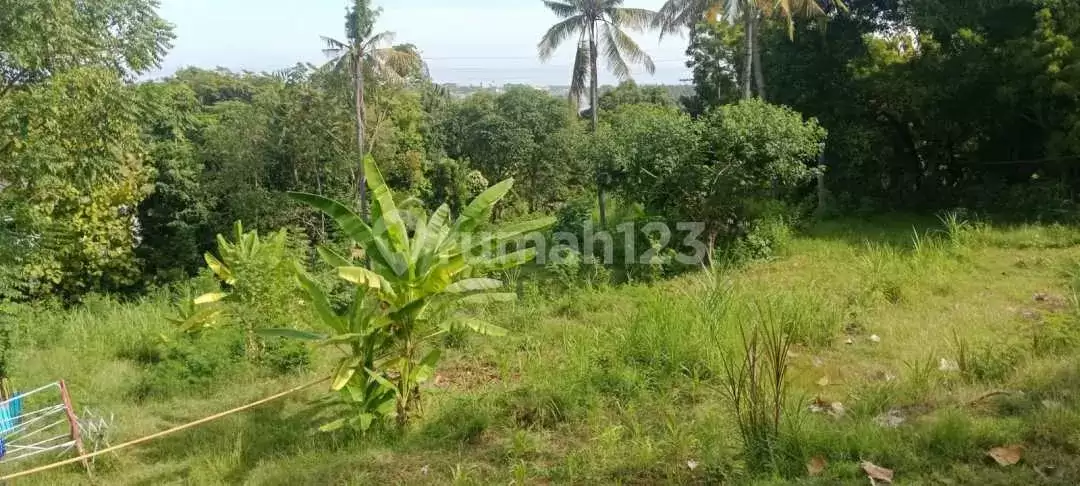 Tanah 20 Are dengan View Indah ke Laut Dekat Pantai Lovina