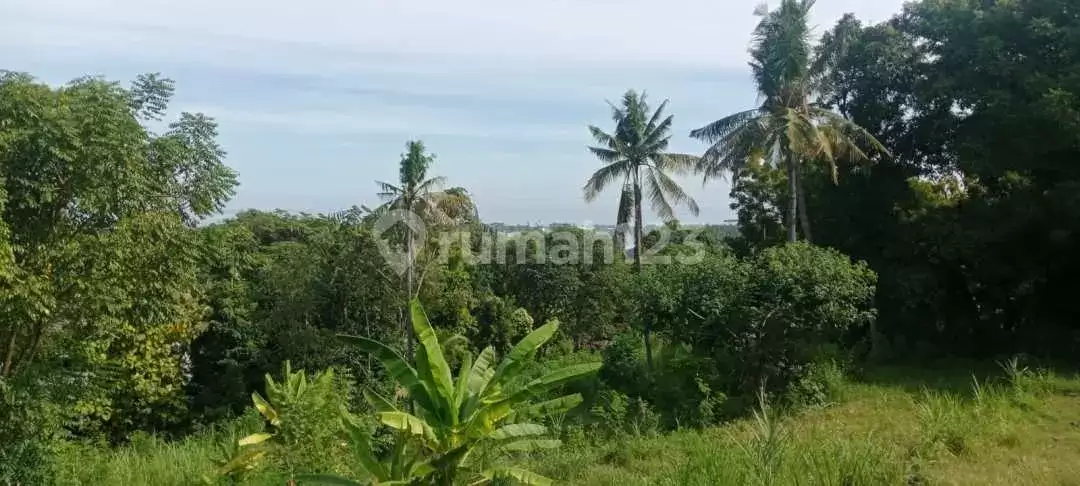 Tanah 20 Are dengan View Indah ke Laut Dekat Pantai Lovina