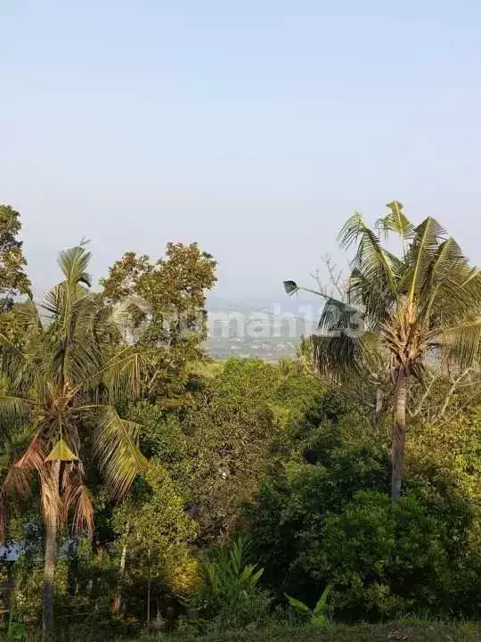 Tanah dengan View Laut Fantastis di Jalan Aspal Tigawasa, Lovina