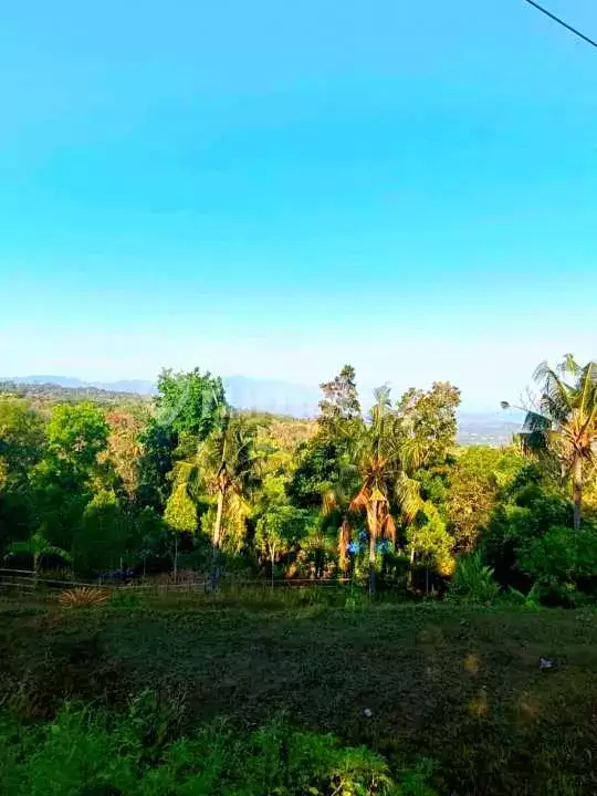 Tanah dengan View Laut Fantastis di Jalan Aspal Tigawasa, Lovina