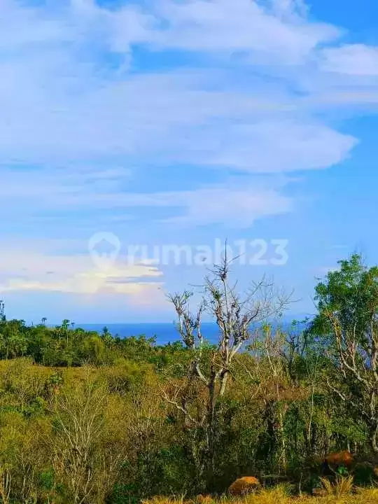 Tanah dengan View Laut Fantastis di Jalan Aspal Tigawasa, Lovina