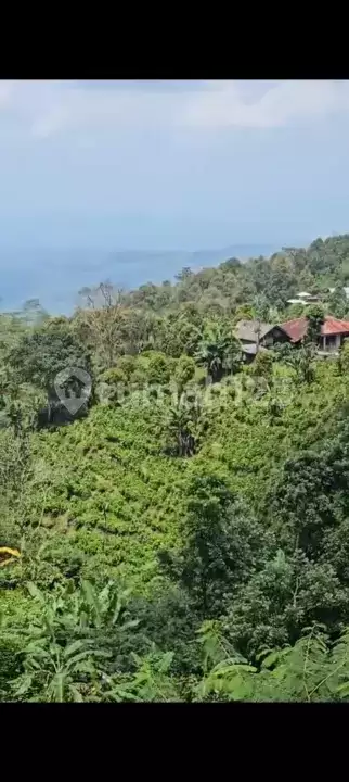 Tanah 70 Are dengan View Indah Laut dan Pegunungan di Wanagiri