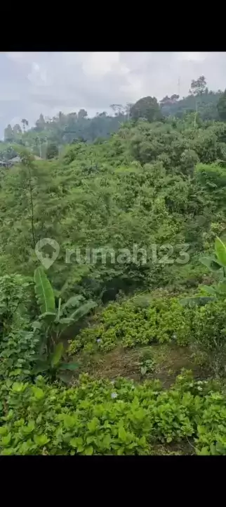 Tanah 70 Are dengan View Indah Laut dan Pegunungan di Wanagiri