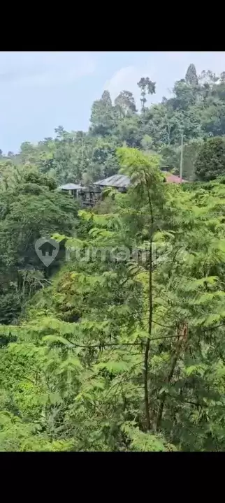 Tanah 70 Are dengan View Indah Laut dan Pegunungan di Wanagiri