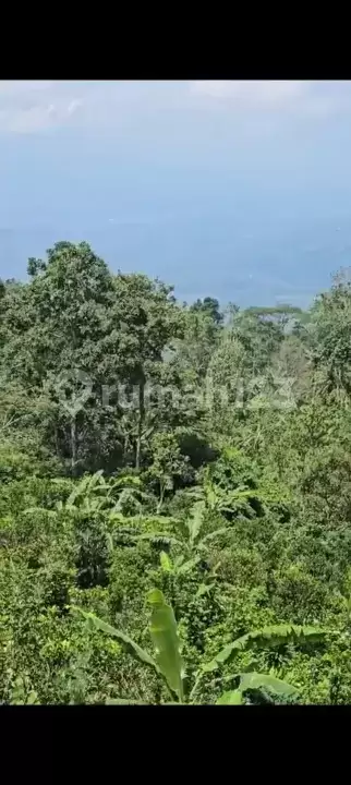 Tanah 70 Are dengan View Indah Laut dan Pegunungan di Wanagiri