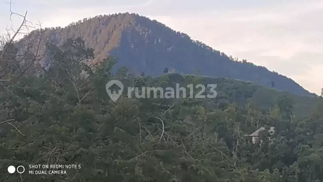 Tanah 1,1 Hektar dengan View Fantastis di Kawasan Wanagiri