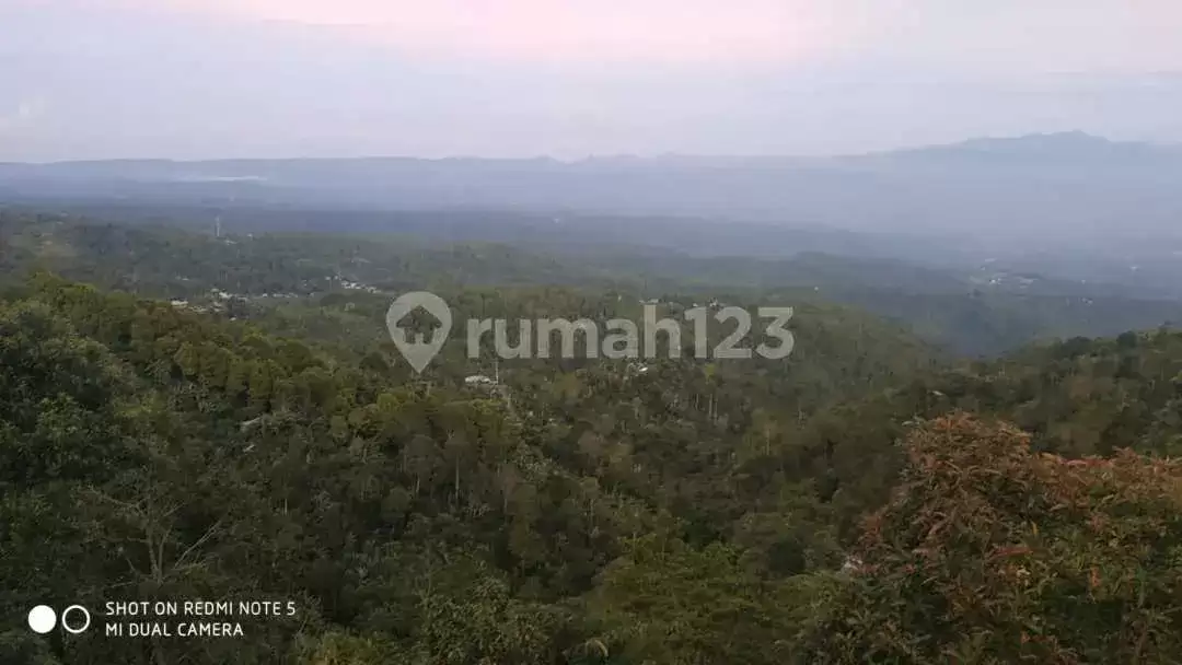 Tanah 1,1 Hektar dengan View Fantastis di Kawasan Wanagiri