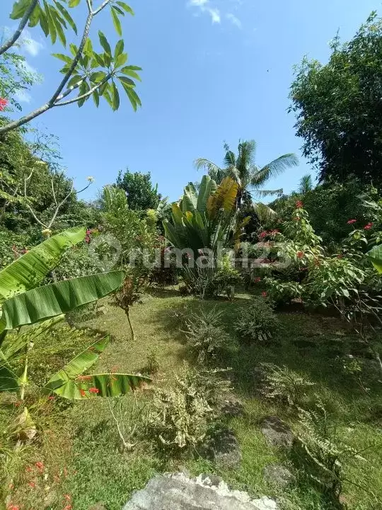 Villa Modern 3 Kamar Tidur Gaya Meksiko–Joglo dengan Ocean View di Lovina