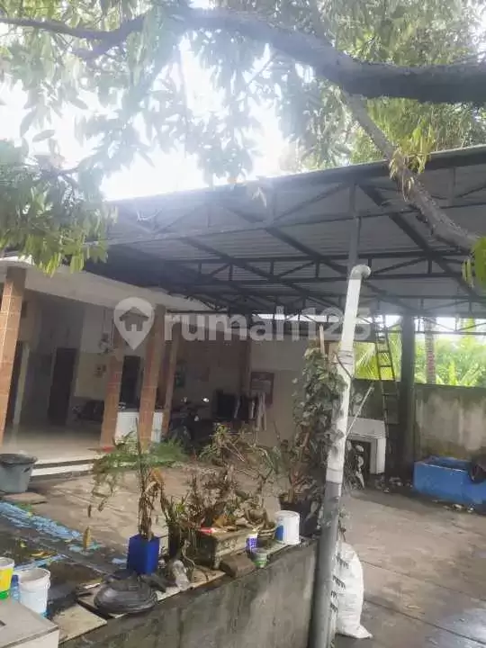 Rumah 8 Kamar Tidur Walking Distance ke Pantai dan Pepito di Lovina
