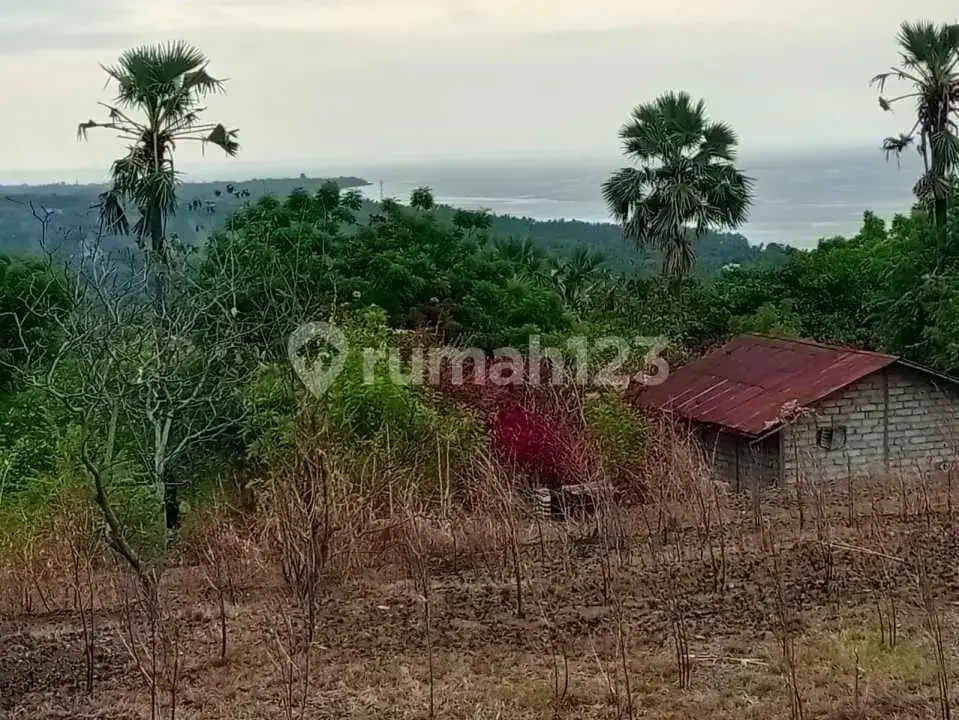 Tanah 20 Are Ocean View Dekat Pantai Kubutambahan, Singaraja