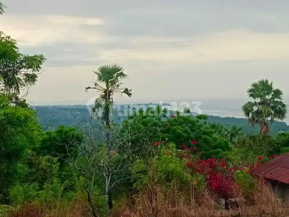 Tanah 20 Are Ocean View Dekat Pantai Kubutambahan, Singaraja
