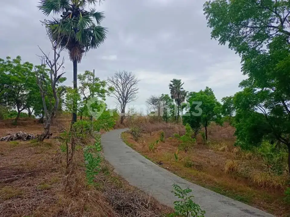 Tanah 20 Are Ocean View Dekat Pantai Kubutambahan, Singaraja
