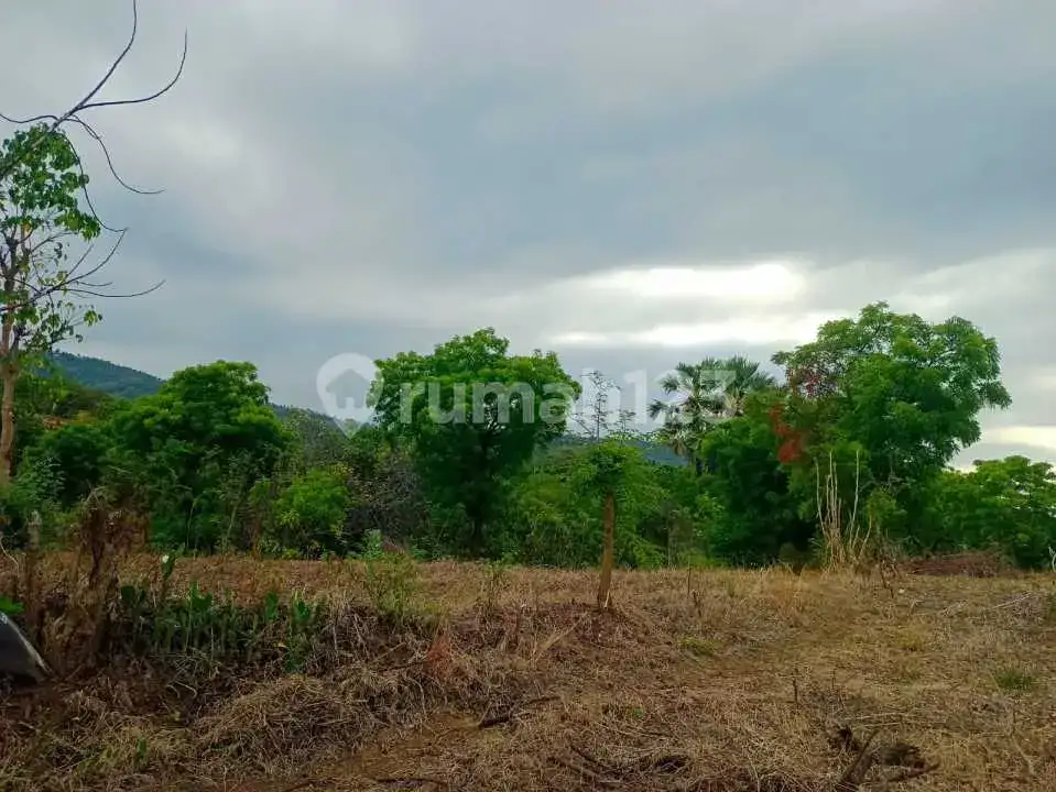 Tanah 20 Are Ocean View Dekat Pantai Kubutambahan, Singaraja