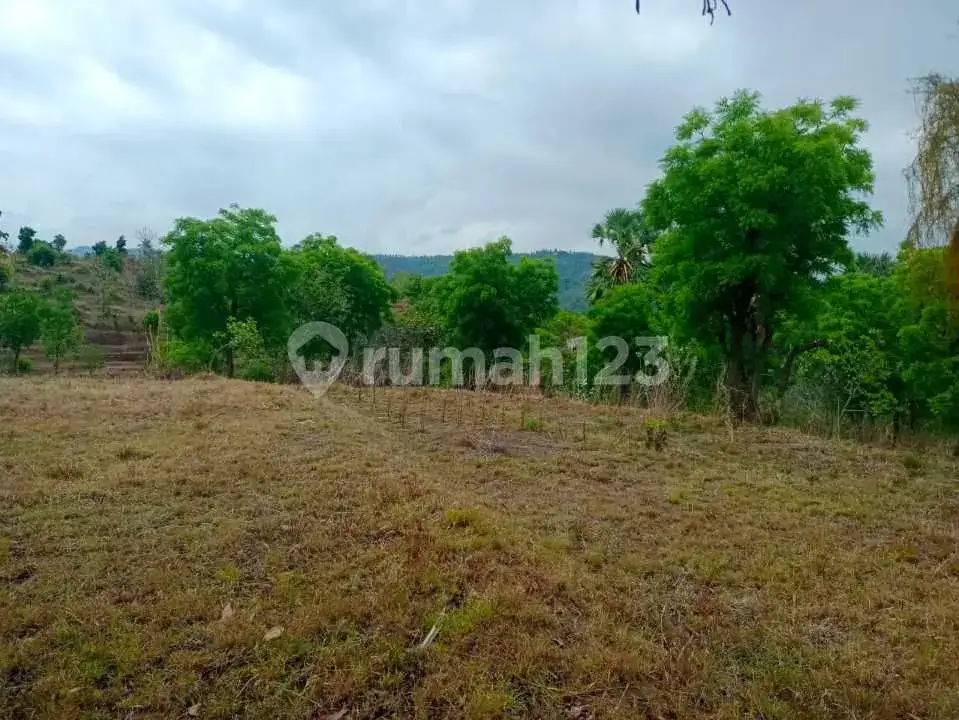 Tanah 20 Are Ocean View Dekat Pantai Kubutambahan, Singaraja