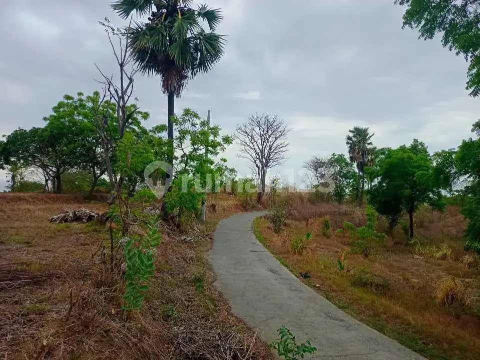 Tanah 20 Are Ocean View Dekat Pantai Kubutambahan, Singaraja
