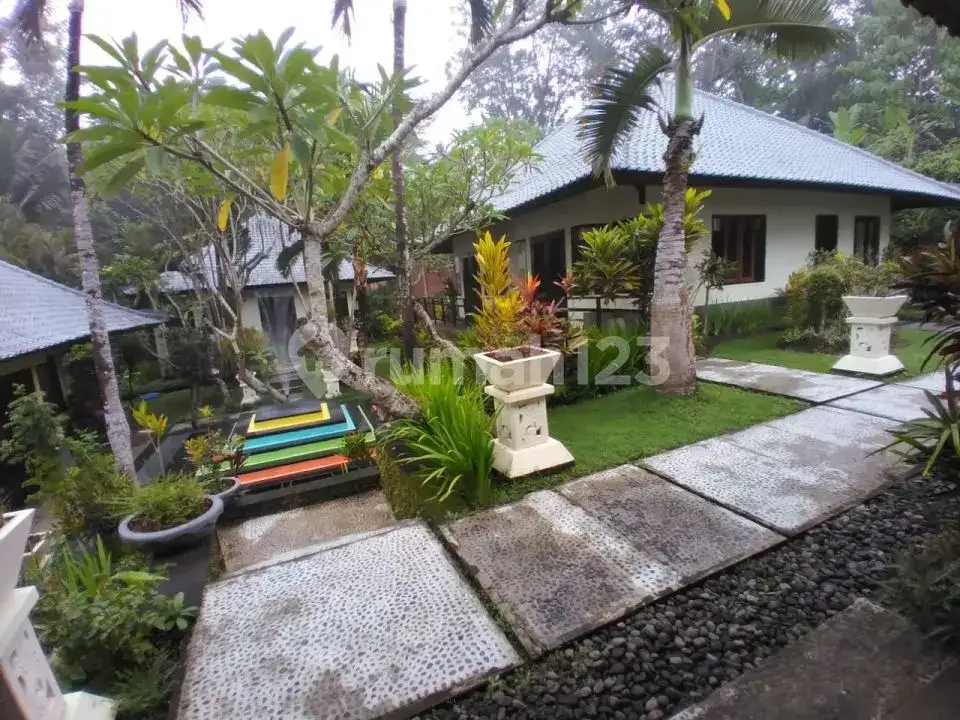 Villa Riverside Eksklusif 6 Kamar Tidur di Tanah Lot dengan Suasana Tenang dan Mewah