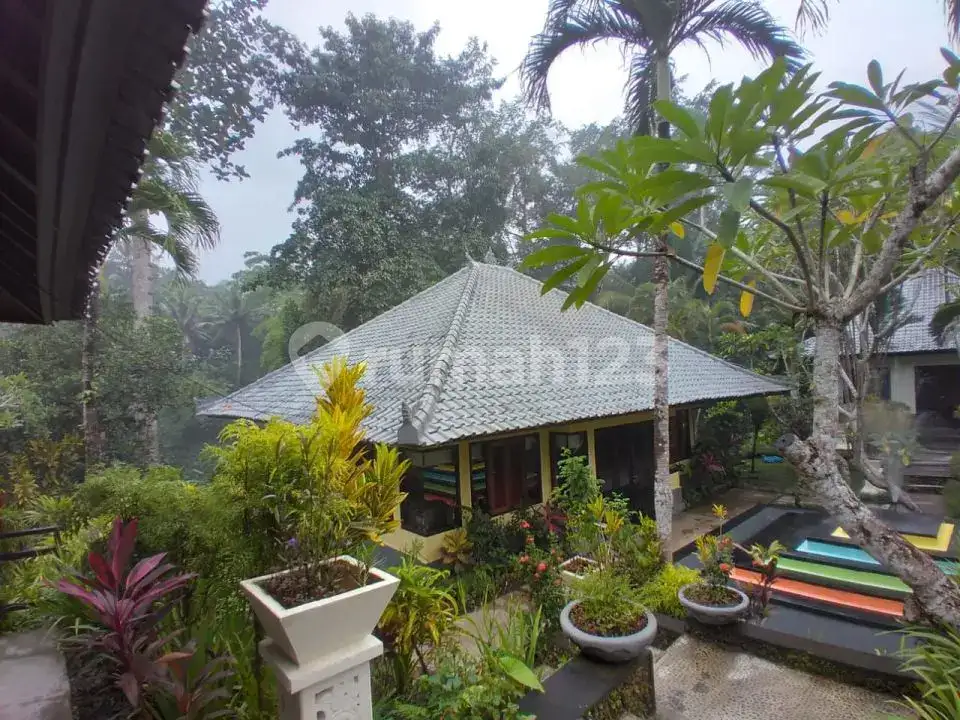 Villa Riverside Eksklusif 6 Kamar Tidur di Tanah Lot dengan Suasana Tenang dan Mewah