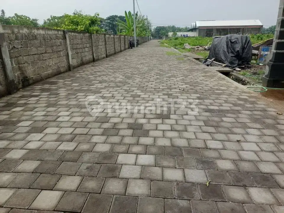 Villa Baru 2 Lantai dengan View Sawah dan Perbukitan di Central Lovina