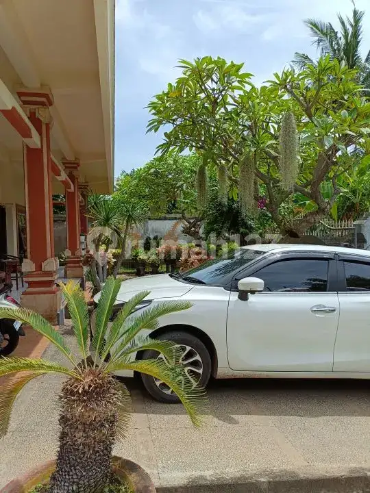 Villa 3 Kamar Tidur di Pusat Lovina Hanya 5 Menit Jalan Kaki ke Pantai