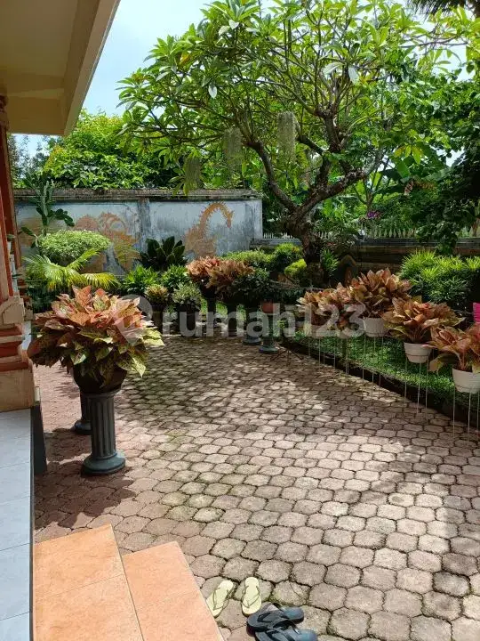 Villa 3 Kamar Tidur di Pusat Lovina Hanya 5 Menit Jalan Kaki ke Pantai