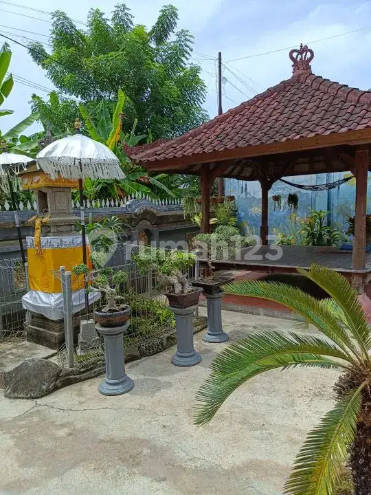 Villa 3 Kamar Tidur di Pusat Lovina Hanya 5 Menit Jalan Kaki ke Pantai