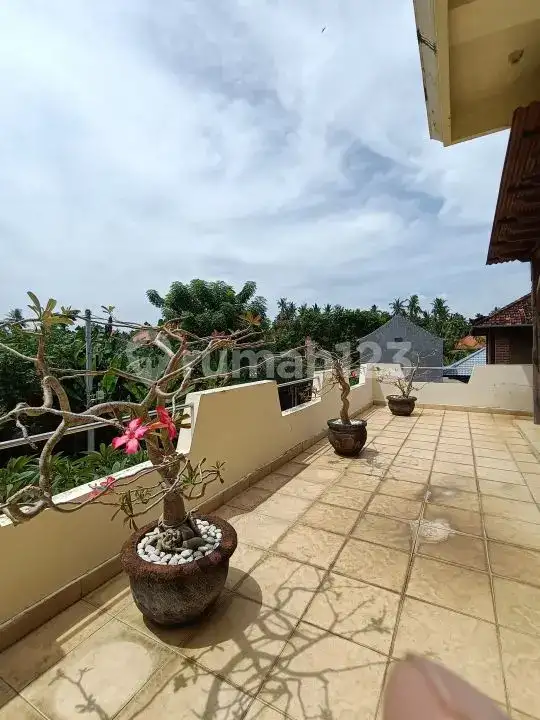 Villa 3 Kamar Tidur di Pusat Lovina Hanya 5 Menit Jalan Kaki ke Pantai