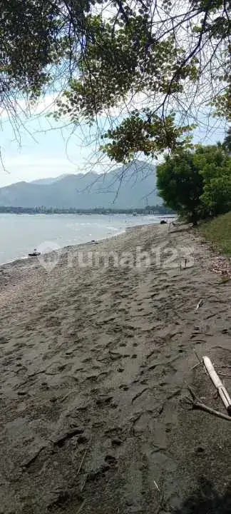 Tanah Beach Front 2,5 Hektar di Pemuteran Cocok untuk Hotel dan Resort