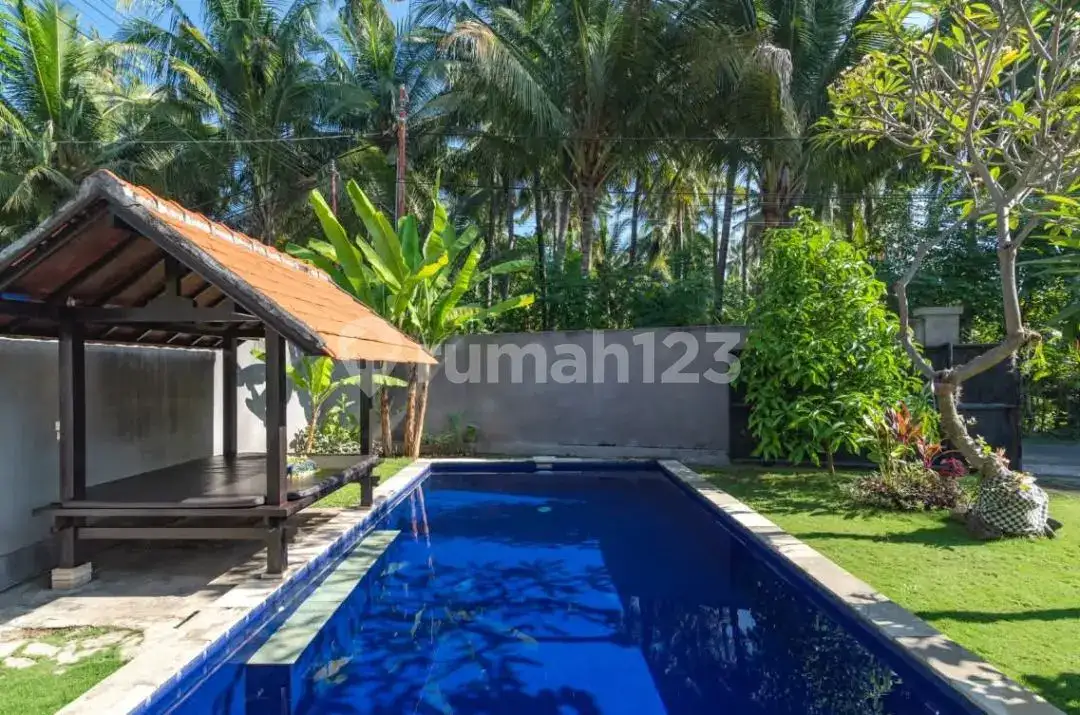 2 Unit Villa Modern dengan Pemandangan Hijau Dekat Pusat Lovina