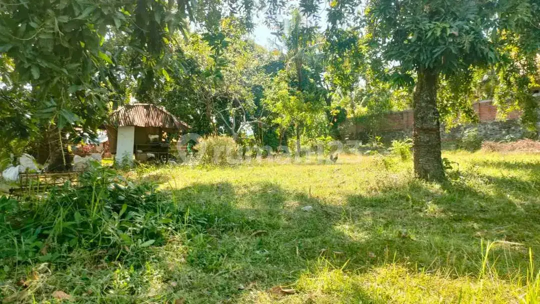 Tanah 10 Are View Laut di Kayuputih Lovina Cocok untuk Villa