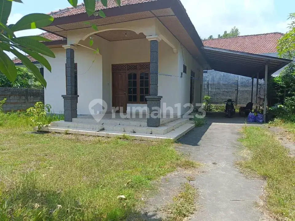 Rumah Lokal di Kaliasem Lovina Hanya 500 Meter dari Pepito