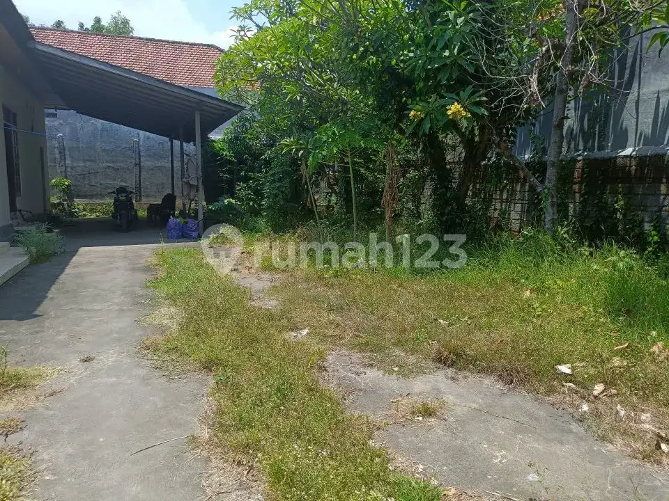 Rumah Lokal di Kaliasem Lovina Hanya 500 Meter dari Pepito