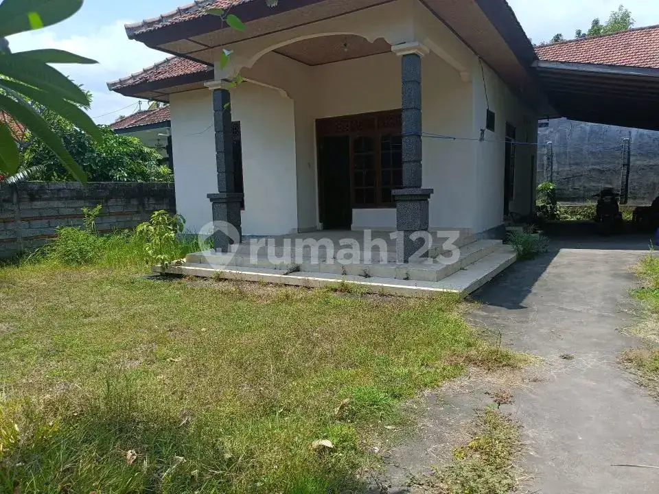 Rumah Lokal di Kaliasem Lovina Hanya 500 Meter dari Pepito