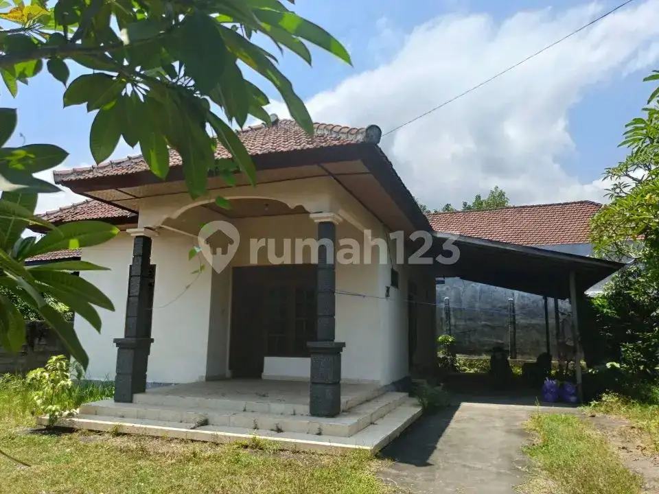 Rumah Lokal di Kaliasem Lovina Hanya 500 Meter dari Pepito