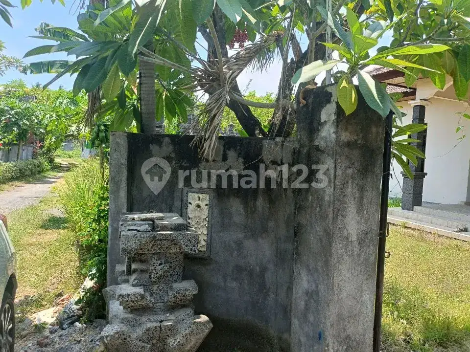 Rumah Lokal di Kaliasem Lovina Hanya 500 Meter dari Pepito