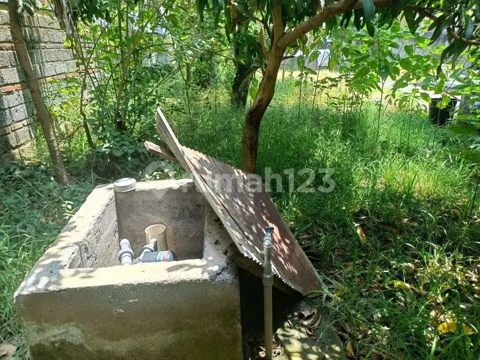 Rumah Lokal di Kaliasem Lovina Hanya 500 Meter dari Pepito