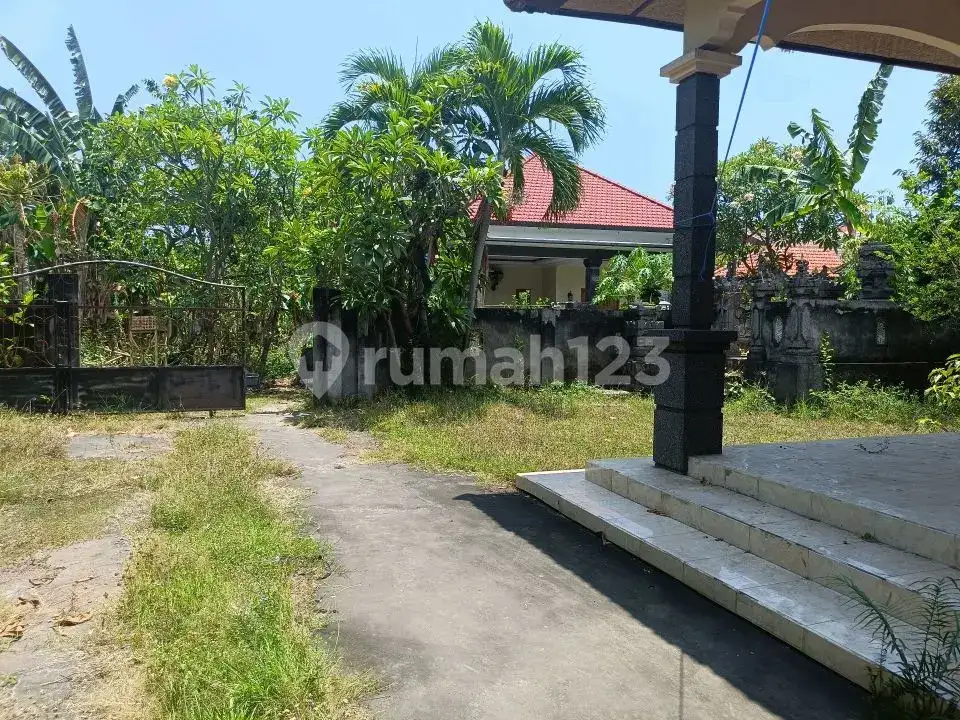 Rumah Lokal di Kaliasem Lovina Hanya 500 Meter dari Pepito