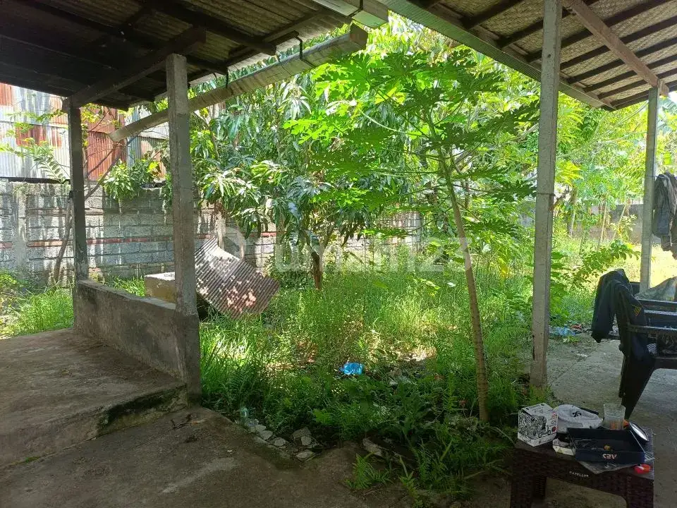 Rumah Lokal di Kaliasem Lovina Hanya 500 Meter dari Pepito