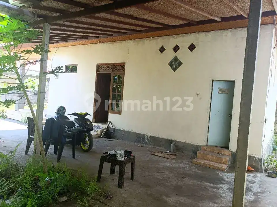 Rumah Lokal di Kaliasem Lovina Hanya 500 Meter dari Pepito