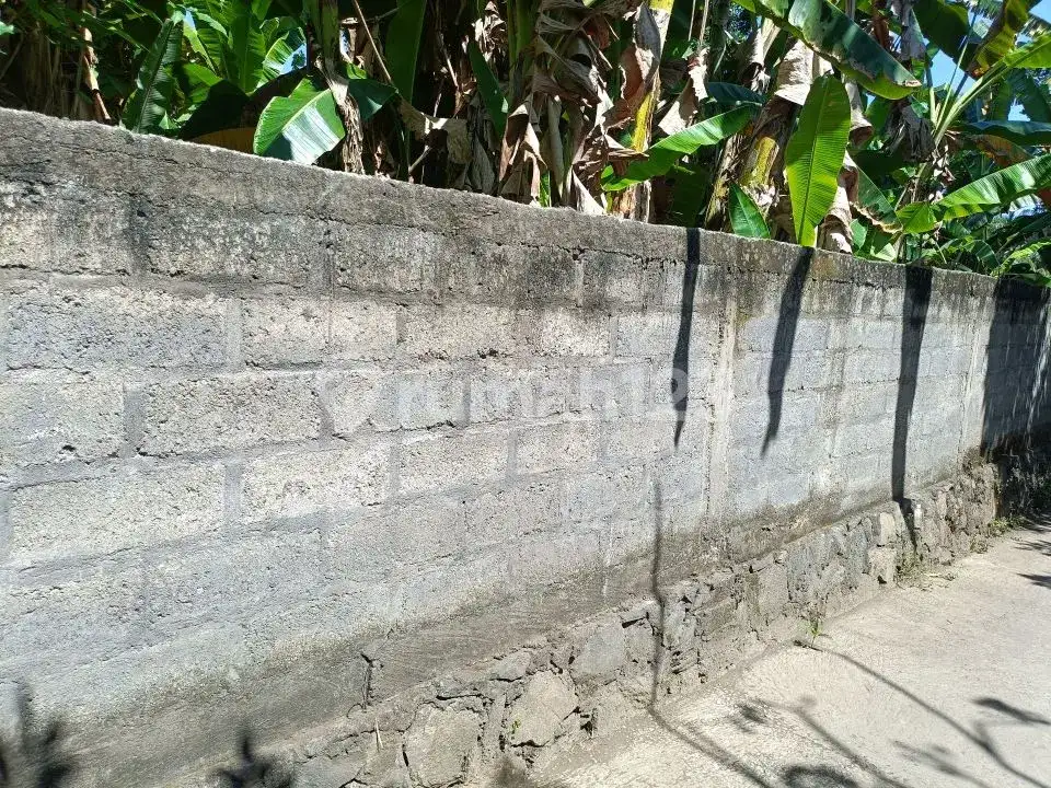 Tanah 4,8 Are Sudah Tembok Keliling di Griya Asri Temukus Lovina