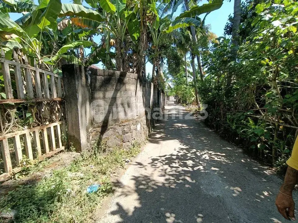 Tanah 4,8 Are Sudah Tembok Keliling di Griya Asri Temukus Lovina