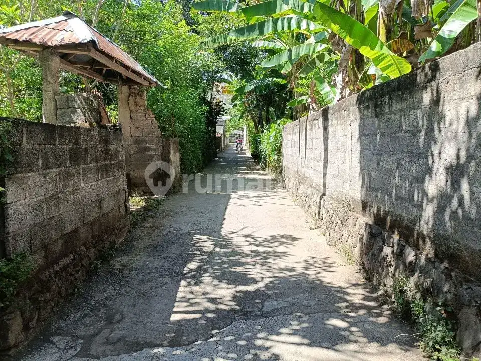 Tanah 4,8 Are Sudah Tembok Keliling di Griya Asri Temukus Lovina
