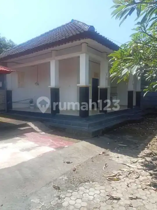 Rumah Siap Huni di Central Lovina Dekat Kemana-Mana