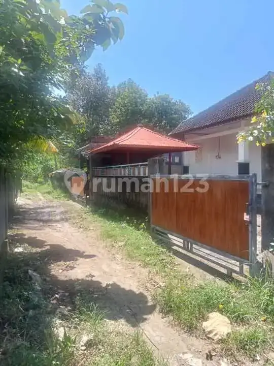 Rumah Siap Huni di Central Lovina Dekat Kemana-Mana